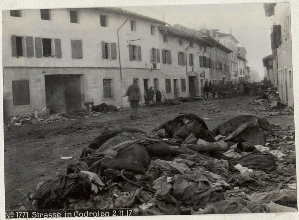 Strasse in Codroipo 2.11.17. (BildID 15608824)