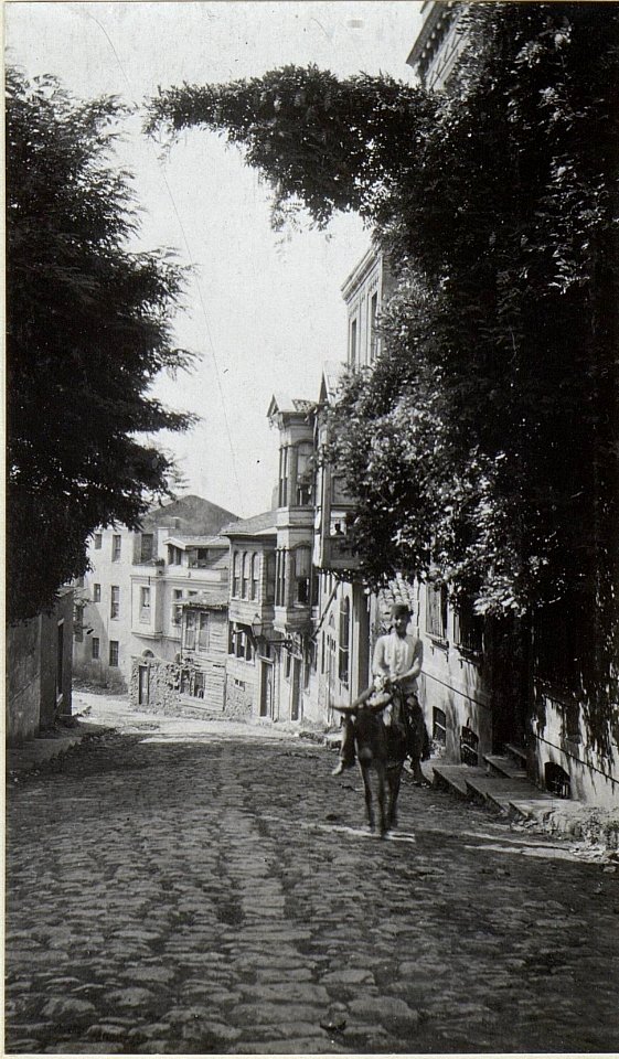 Strasse in Stambul. (BildID 15675025)