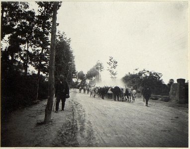 Strassenbild nach Conegliano. (BildID 15673262)