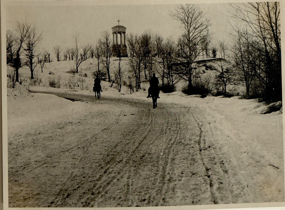 Strassenbild bei Plaginesti (BildID 15545147)