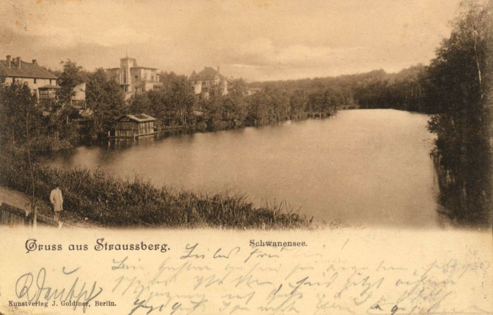 Strausberg, Brandenburg - Schwanensee (Zeno Ansichtskarten)