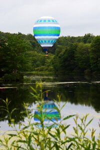 Colorful fly flight