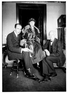 Strauss, son & Schumann LCCN2014713680