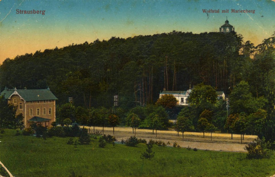 Strausberg, Brandenburg - Wolistal mit Marienberg (Zeno Ansichtskarten)
