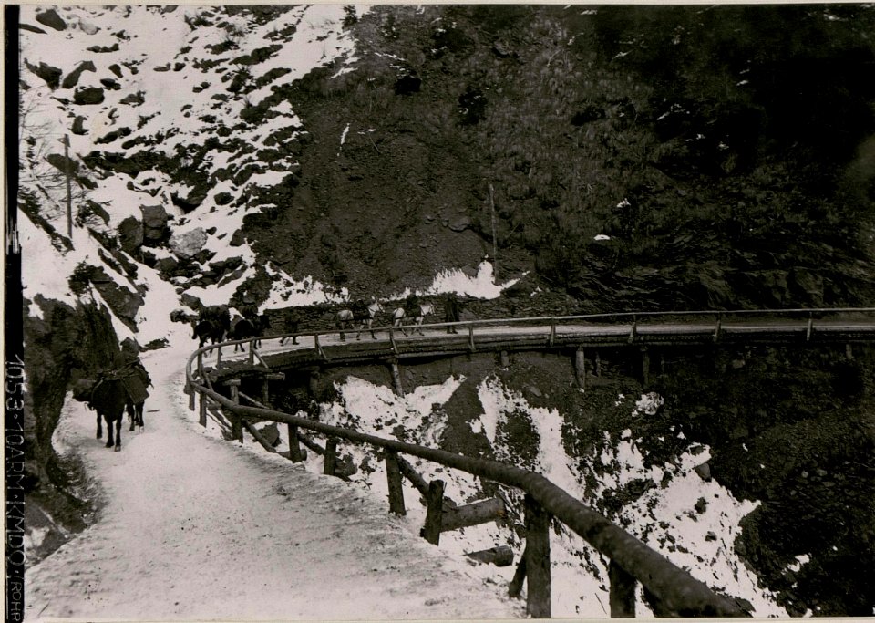 Straße zur Straniger Alm. (BildID 15736723)