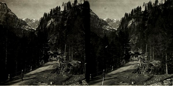 Straße bei Peutelstein (= Straße Toblach-Cortina) (BildID 15418014)