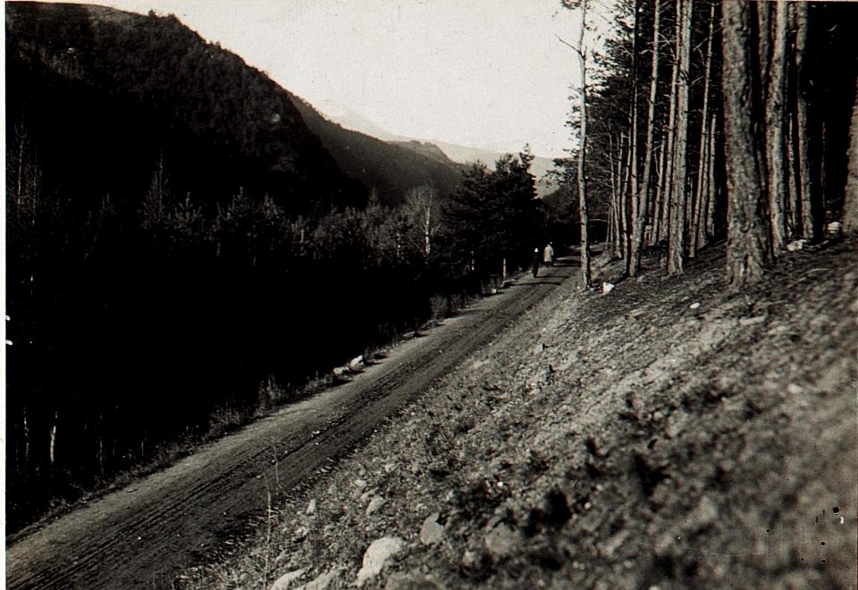 Straße längs der Rienzschlucht. (BildID 15579902)