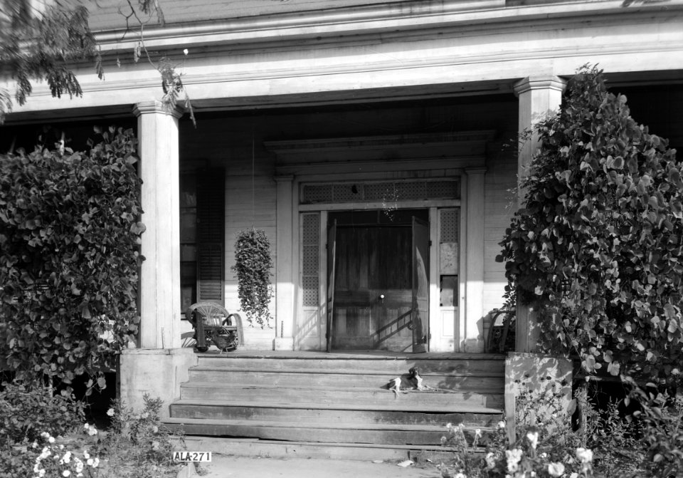 Strawberry Hill 03