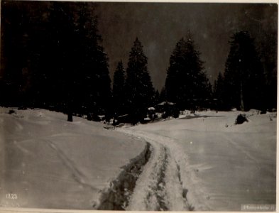 Straße von Arsie nach Feltre. Truppenbewegung. (BildID 15640947)