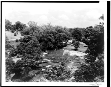 Stream in park near Louisville, Kentucky LCCN95506988