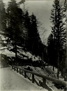 Straße zur Straniger-Alm. (BildID 15469362)