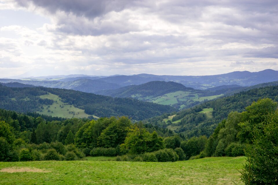 Cloud cover forest summer