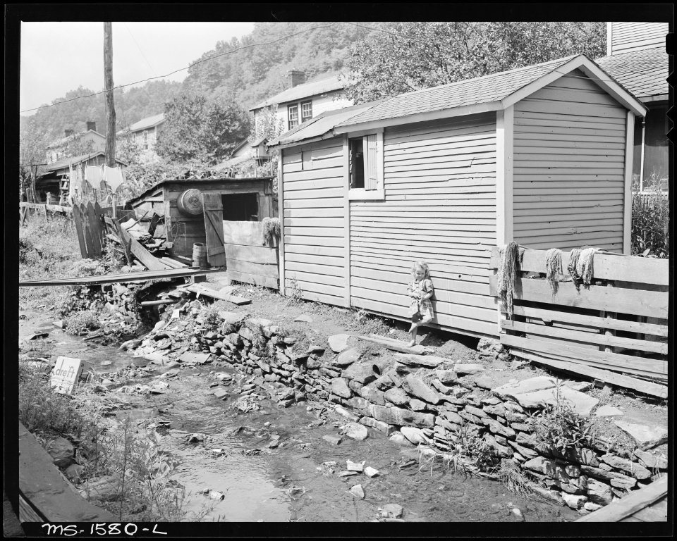 Stream which runs back of houses. Seepage from numerous privies pollutes this stream. While some trash collects in... - NARA - 540864