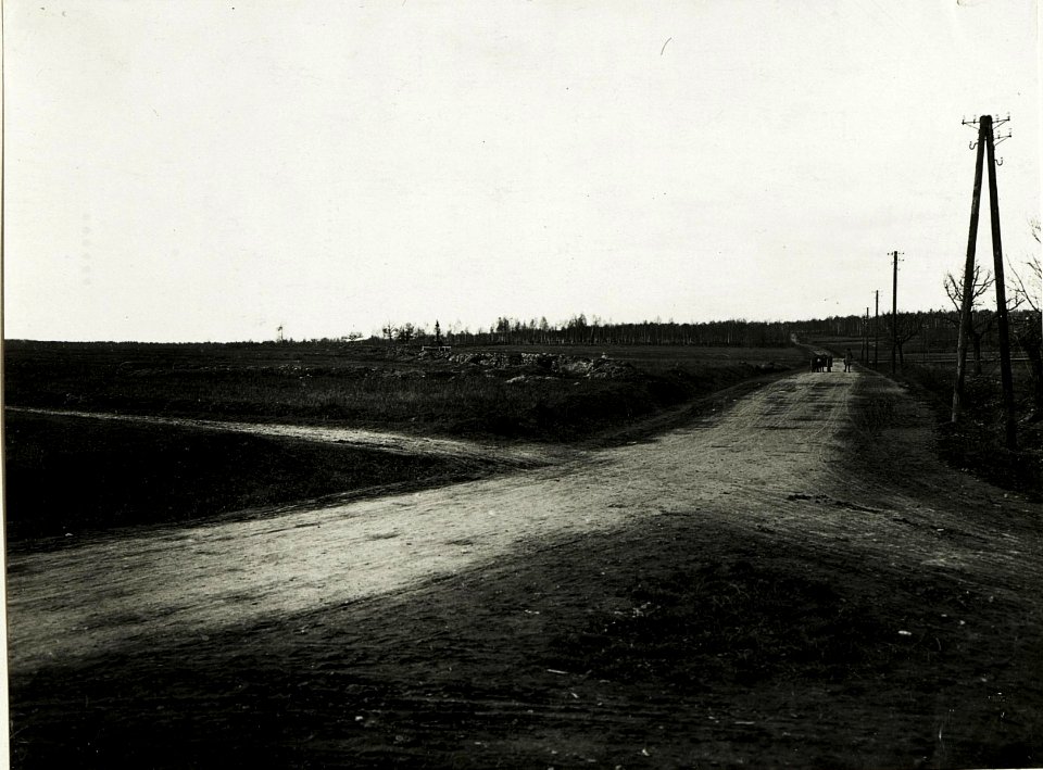 Straße von Halicz nach Stanislau. (BildID 15591552)