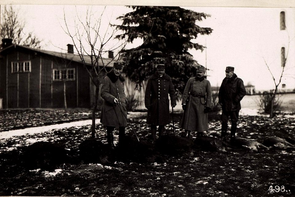 Strecke an der Jagd beim 4.Armeekommando (BildID 15705454)