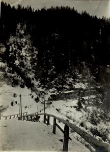 Straße zur Straniger Alm. (BildID 15469369)