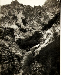 Straßenzug westlich Podmelec, 8.5.1916. (BildID 15594544)