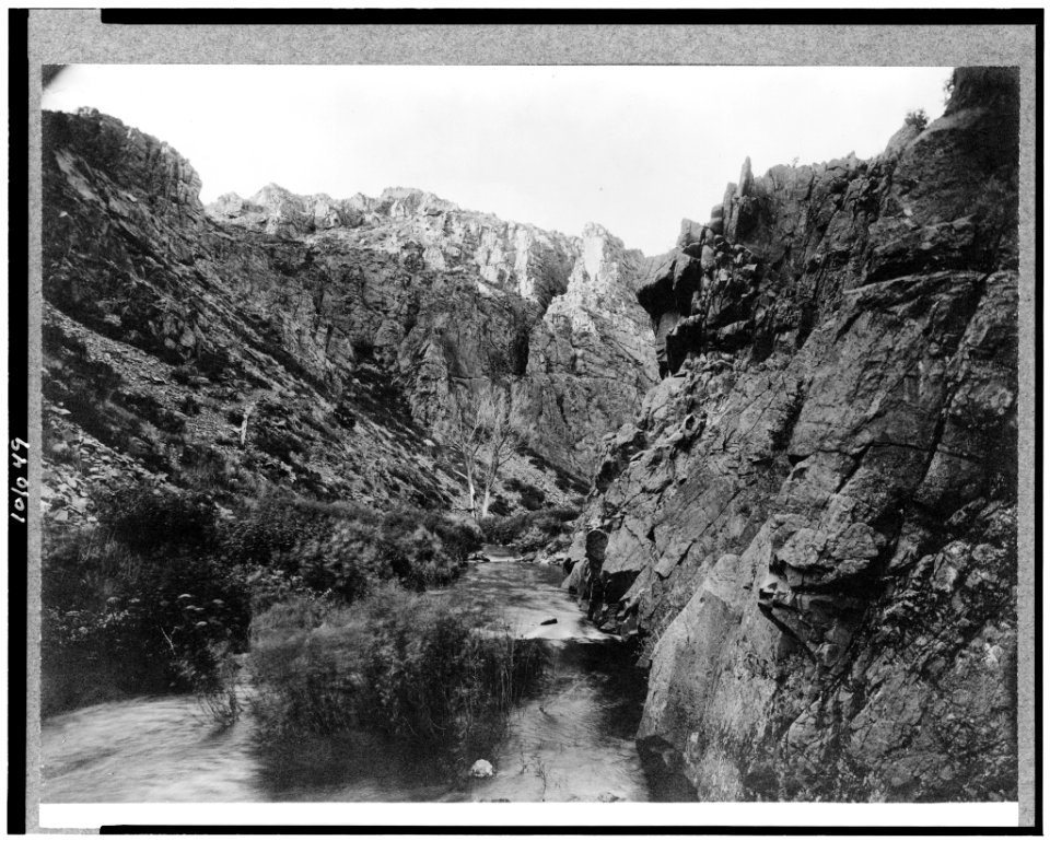 Stream in canyon in Estes National Park, Colorado LCCN90709654