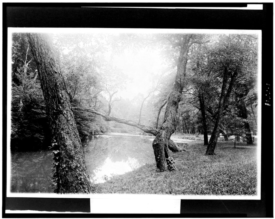 Stream in Rock Creek Park, Washington, D.C. LCCN92513210