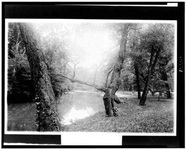 Stream in Rock Creek Park, Washington, D.C. LCCN92513210