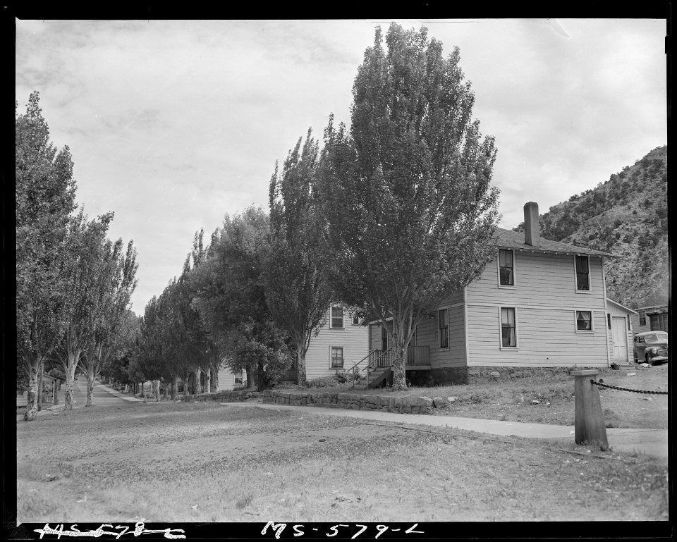 Street in company housing project. Utah Fuel Company, Sunnyside Mine, Sunnyside, Carbon County, Utah. - NARA - 540501