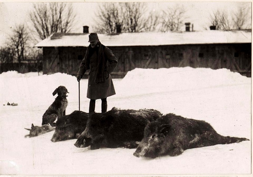 Strecke von der dritten Jagd beim 4.Armeekommando (BildID 15710038)