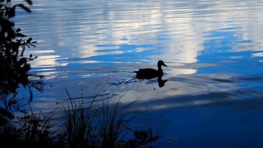 Romance abendstimmung sunset
