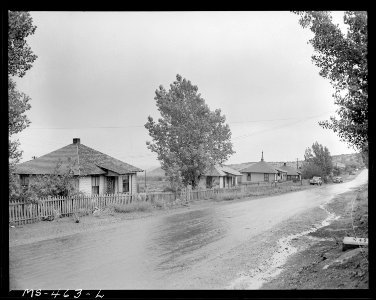 Street passing through part of company housing project for miners. United States Fuel Company, King Mine, Hiawatha... - NARA - 540428 photo