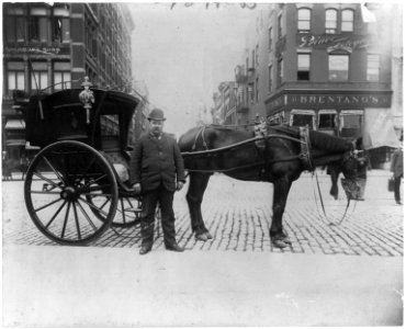 Street types of New York City- Hansom driver standing in front of horse and cab LCCN2002699101