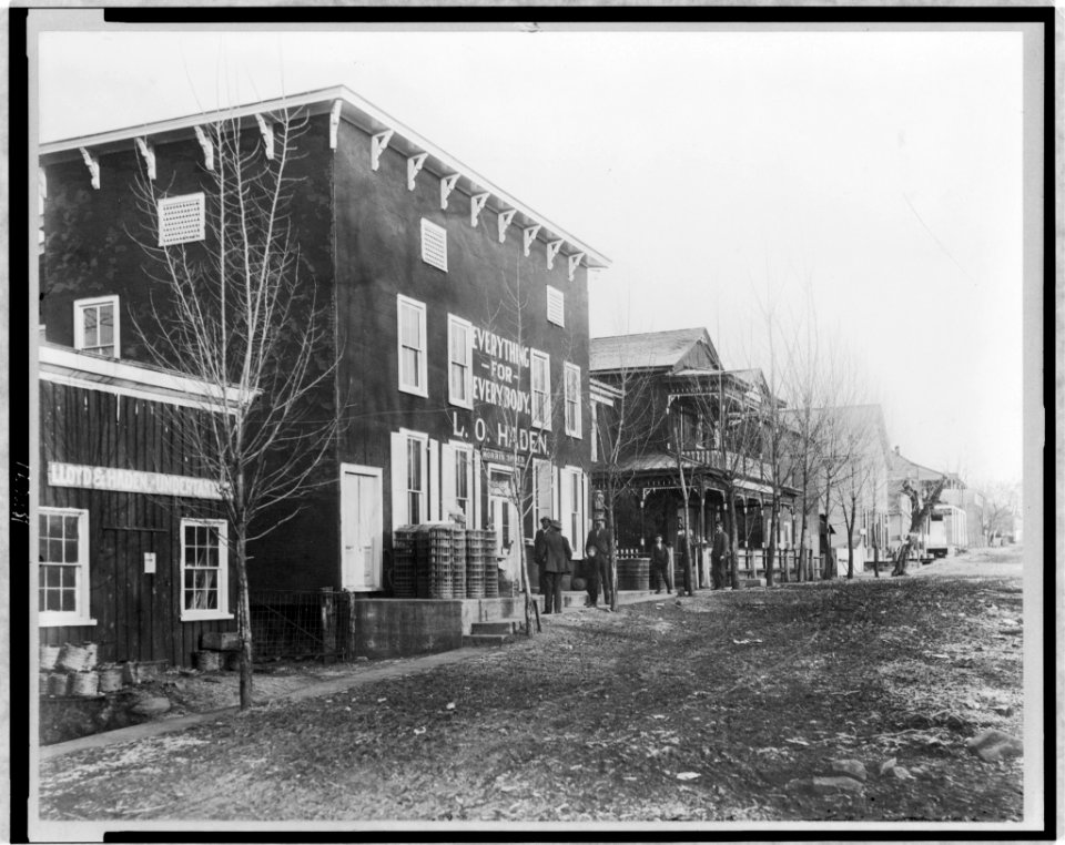 Street scene, with general store, Palmyra, Virginia LCCN97506692