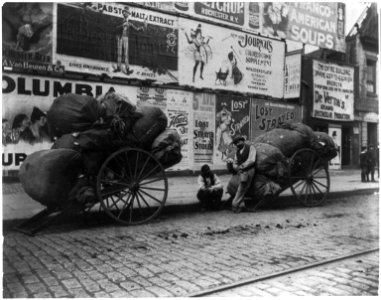 Street types of New York City- 2 rag carts LCCN2002699107