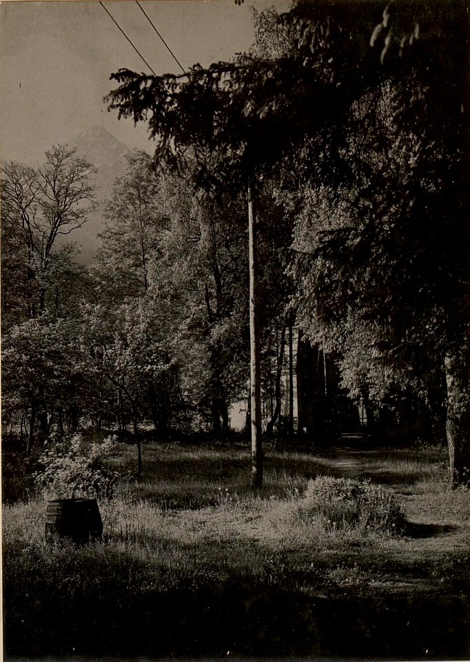 Stromabteilung vom Elektrowerk Malborgeth. Aufgenommen am 25. Mai 1916. (BildID 15475874)