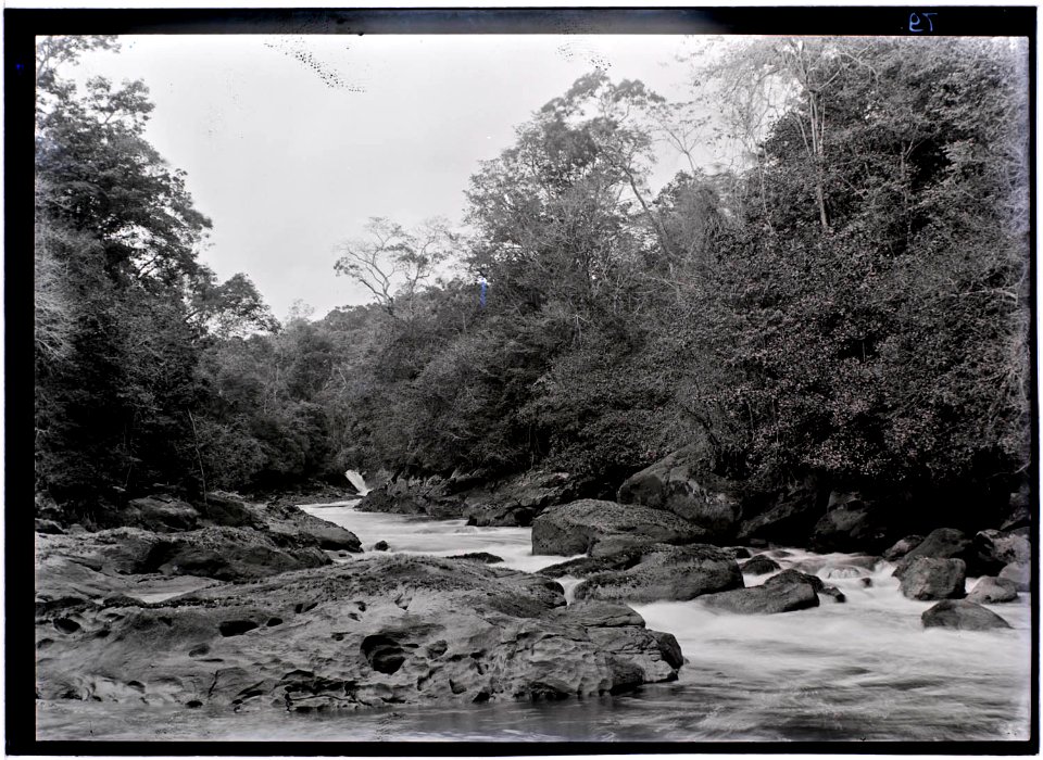 Stroomversnelling in het stroomgebied van de Tapanahoni-rivier 2