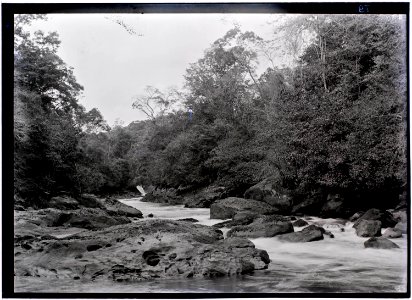 Stroomversnelling in het stroomgebied van de Tapanahoni-rivier 2