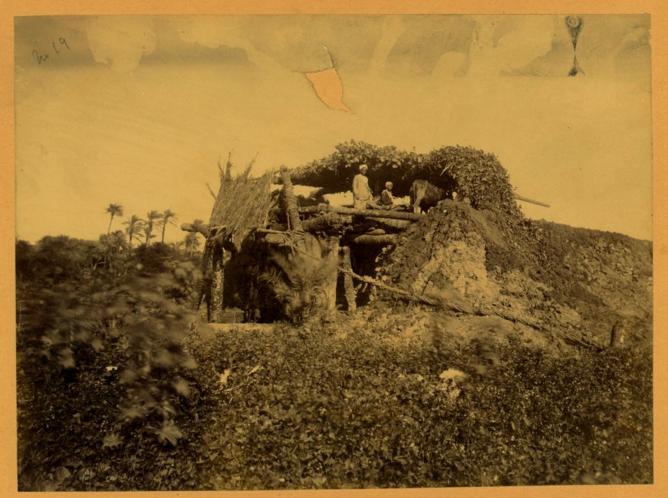 Structure made of timbers, earth, rope, and vegetation, two people and a cow on second level LCCN2004674236