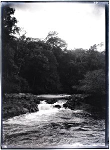 Stroomversnelling in de Boven Tapanahoni-rivier