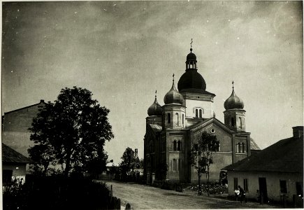 Stryj, Kirche (BildID 15433351)