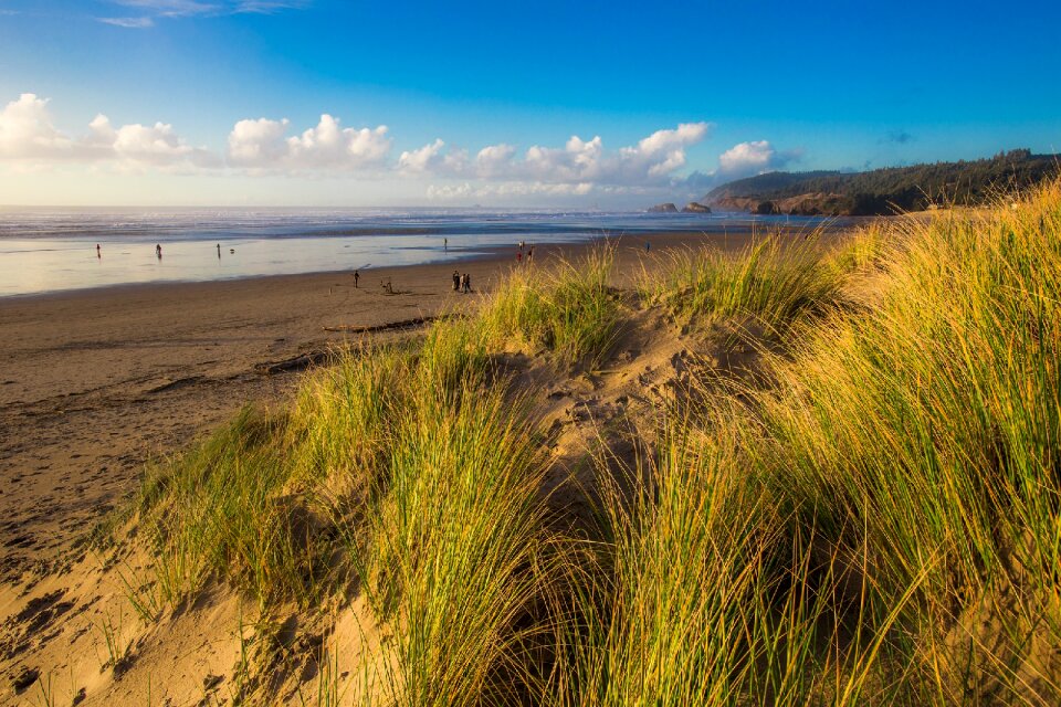 Sand ocean seascape