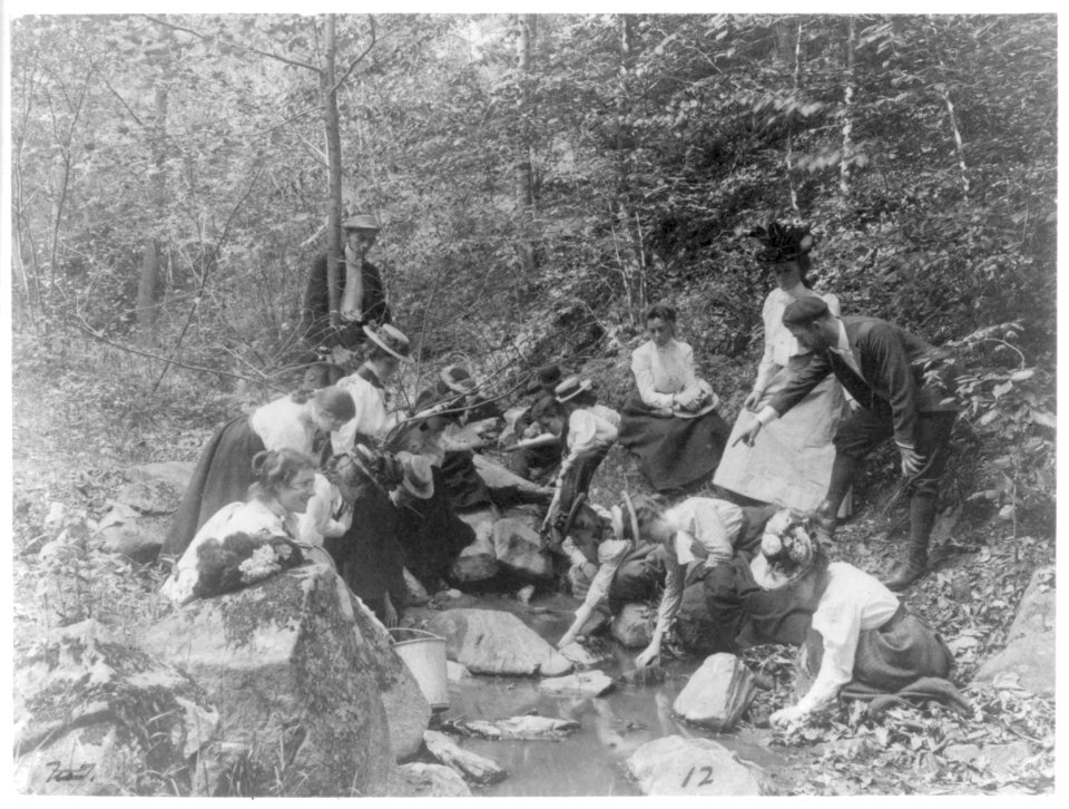 Students from Western High School studying biology outdoors at a stream, Washington, D.C. LCCN2001699129