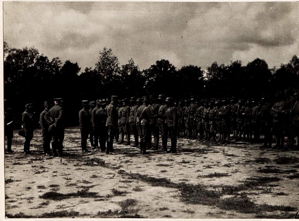 Sturmtruppendefilierung (BildID 15709499)