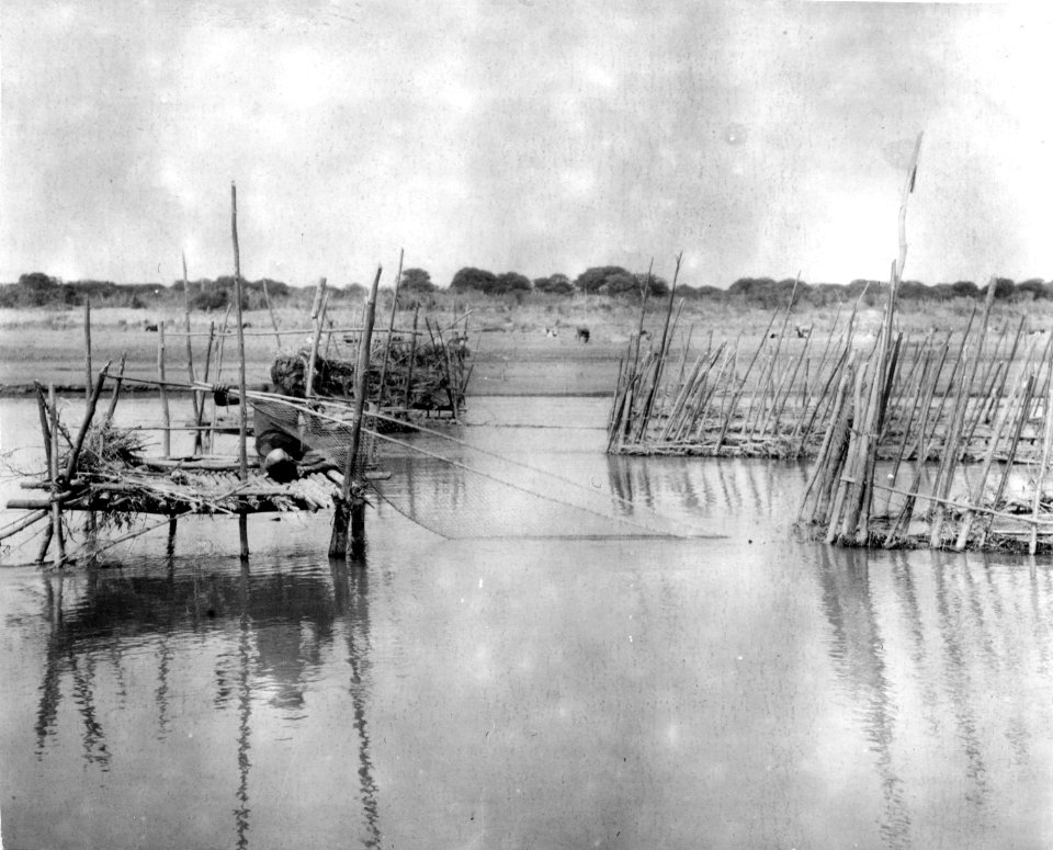 Ställning i vatten, Choroti; fiskare. Gran Chaco. Bolivia - SMVK - 004808