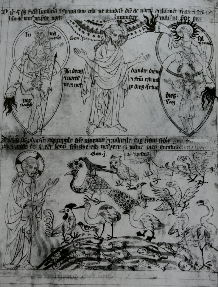 Stvorenisveta velislav