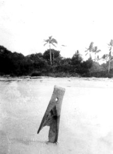 Stycke av chocóindiansk kanot strandad på Pärlöarna. Pearl Islands. Panama - SMVK - 004139 photo
