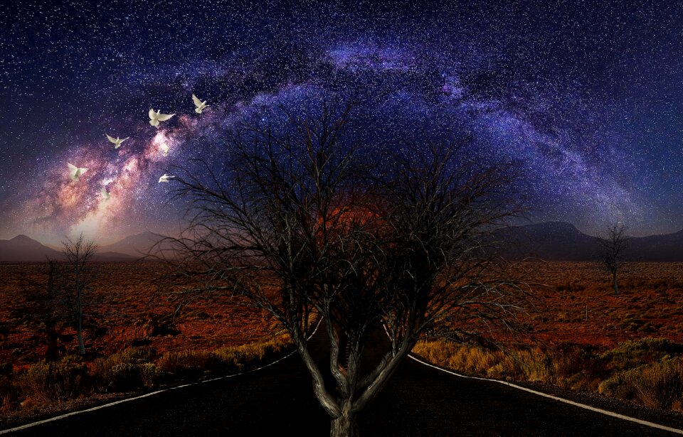 Panorama in the free nature