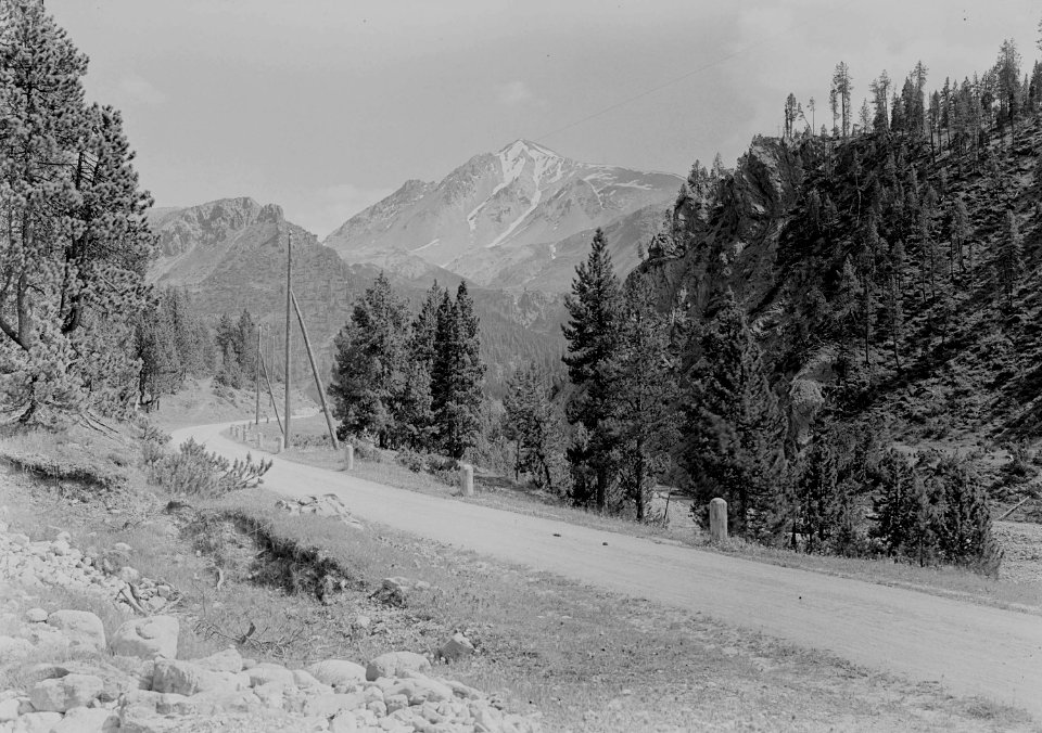 Stück der Ofenbergstrasse bei Alp Buffalora mit Piz Daint im Hintergrund - CH-BAR - 3239905