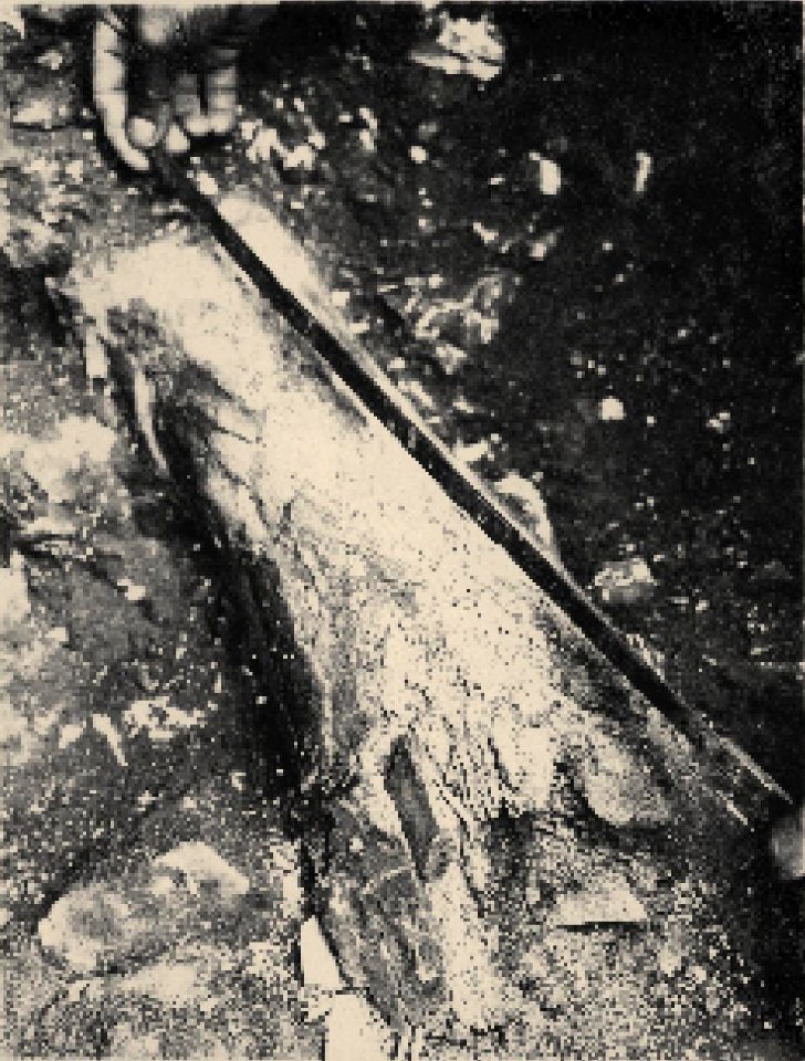 Suba Hole work2 KovácsJ