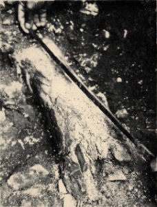 Suba Hole work2 KovácsJ