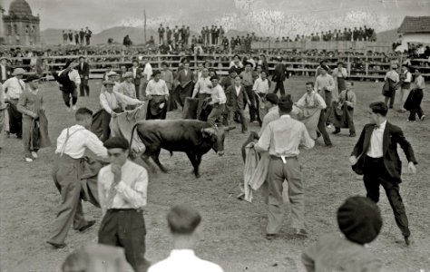 Suelta de vaquillas en una plaza de toros portátil de Hernani (6 de 10) - Fondo Car-Kutxa Fototeka
