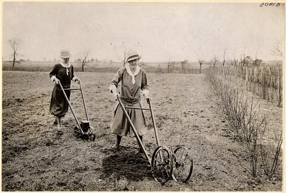 Suffrage farmerettes. Mrs. Ruth Litt of East Patchoque, New York at work producing . . . - NARA - 533775