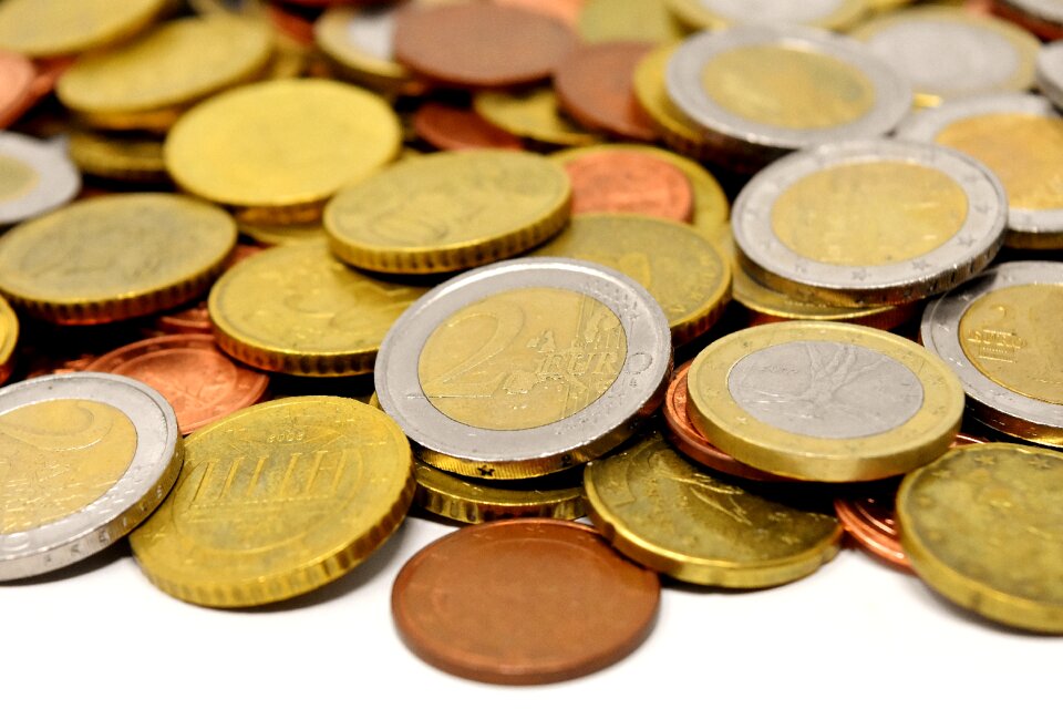 Euro specie loose change